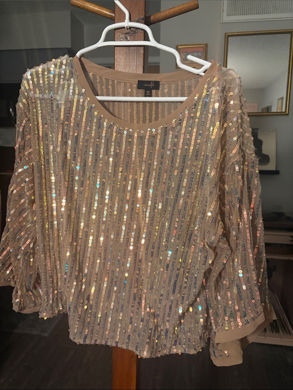 Women's Sequin Stripe Blouse - Champagne Sparkle
